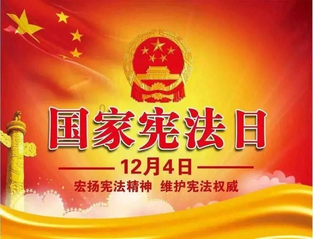 细胞分裂6