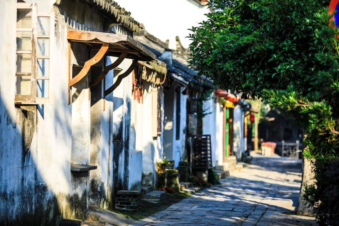 绿色猎人住宅逃生