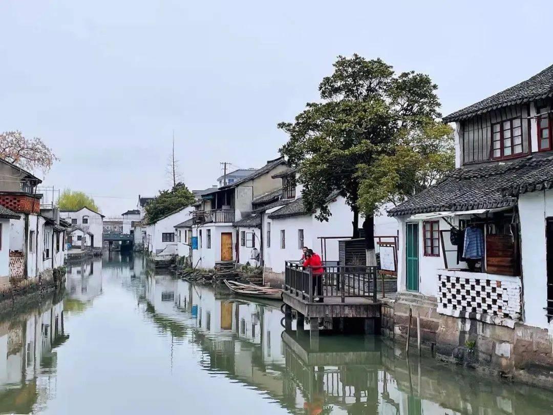 国家卓越工程师团队·贵州交通山区峡谷桥梁建造技术团队，万桥飞架，贵州高原天堑变坦途
